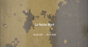 Captura de pantalla 2025-12-22 a la(s) 11.16.59 a.m.